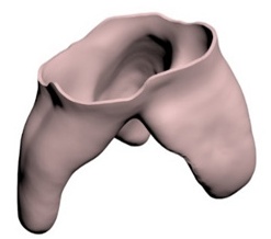 Creation of periodontal ligament design.
