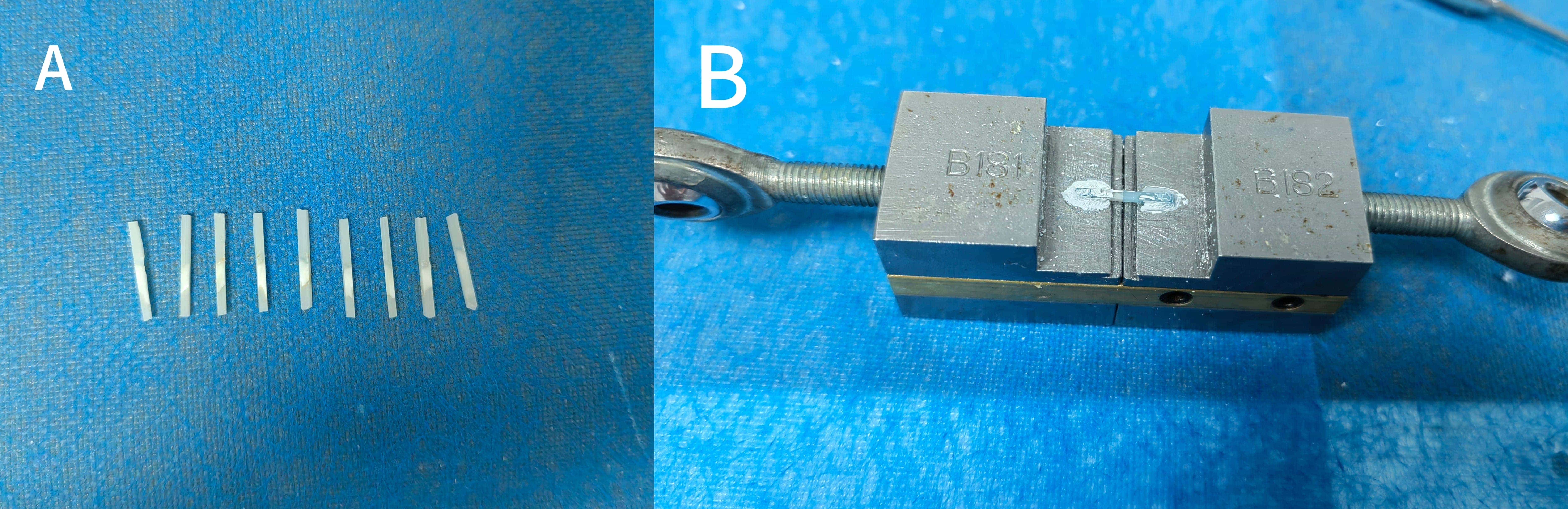 Micro-tensile test specimens and instruments. (A) Dentin 
specimen prepared; (B) Microtensile specimen fixed on tester.