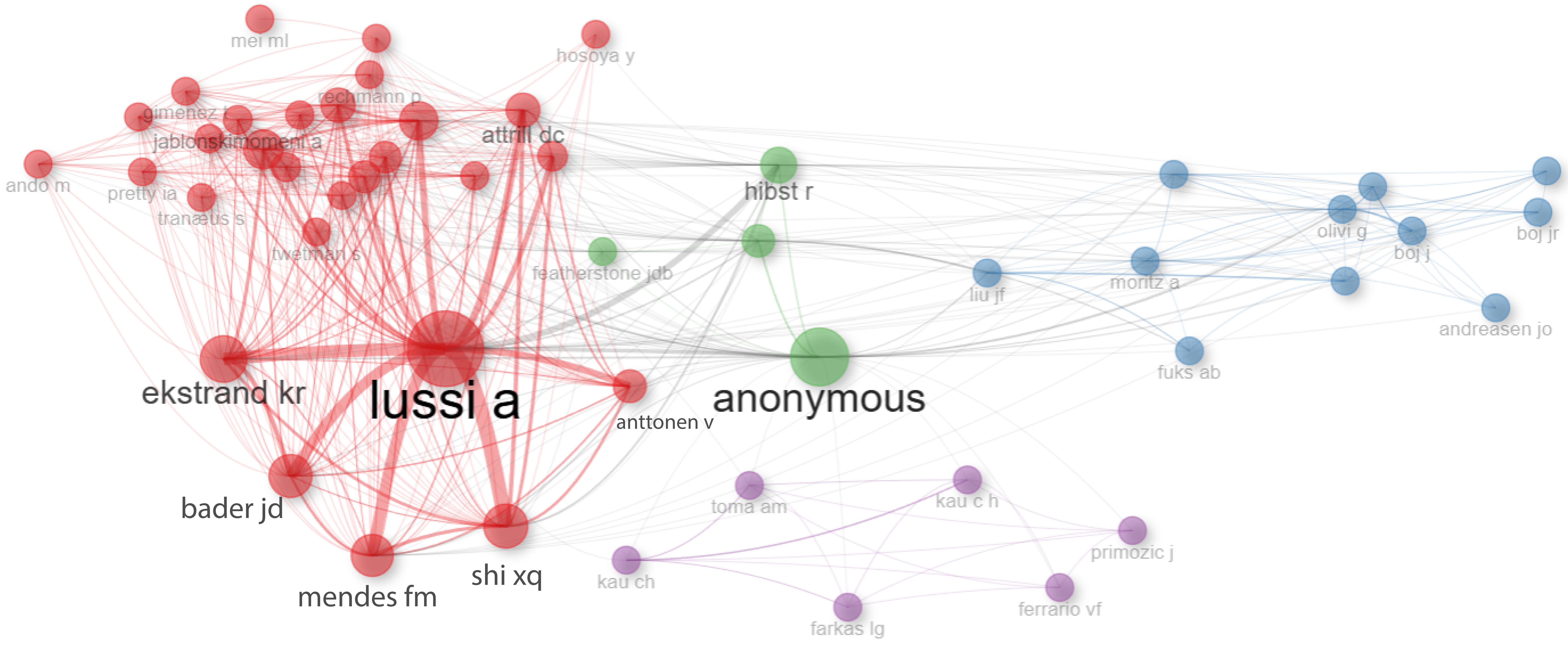 Authors co-citation network.