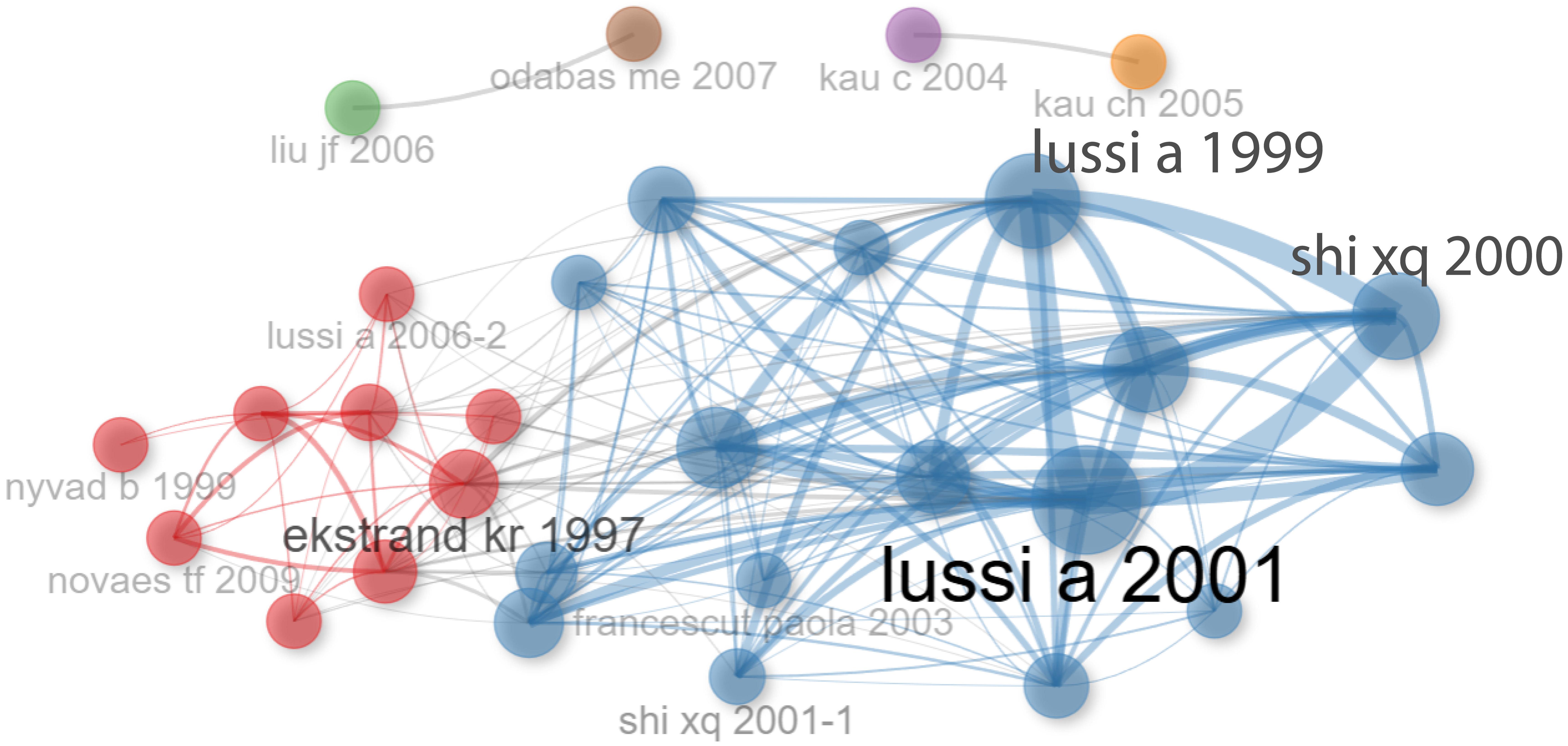 Publications co-citation network.