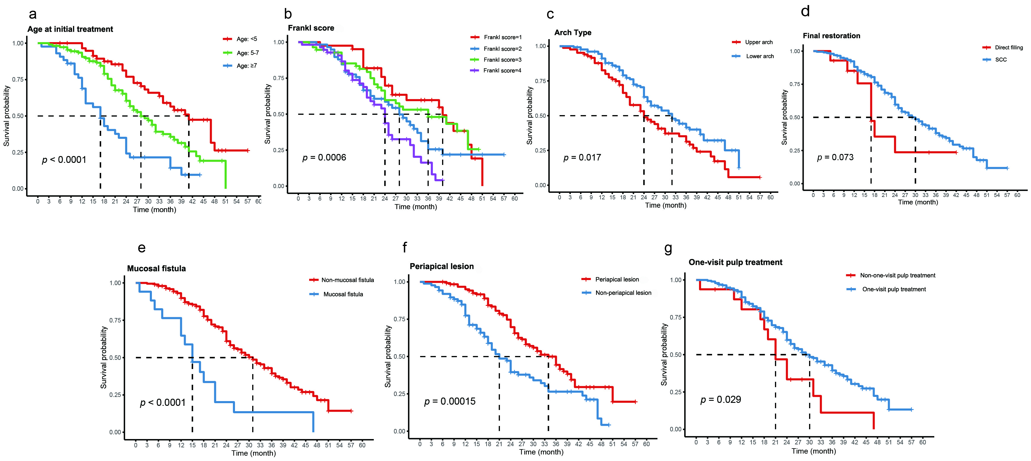 Kaplan-Meier curves illustrating survival discrepancies over 
time, based on relevant prognostic factors. (a) survival outcomes stratified by 
age at initial treatment. (b) survival outcomes stratified by Frankl score. (c) 
survival outcomes stratified by arch type. (d) survival outcomes stratified by 
crown restoration materials. (e) survival outcomes stratified by mucosal 
condition. (f) survival outcomes stratified by periapical lesion. (g) survival 
outcomes stratified by number of visits. SSC: stainless steel crowns.