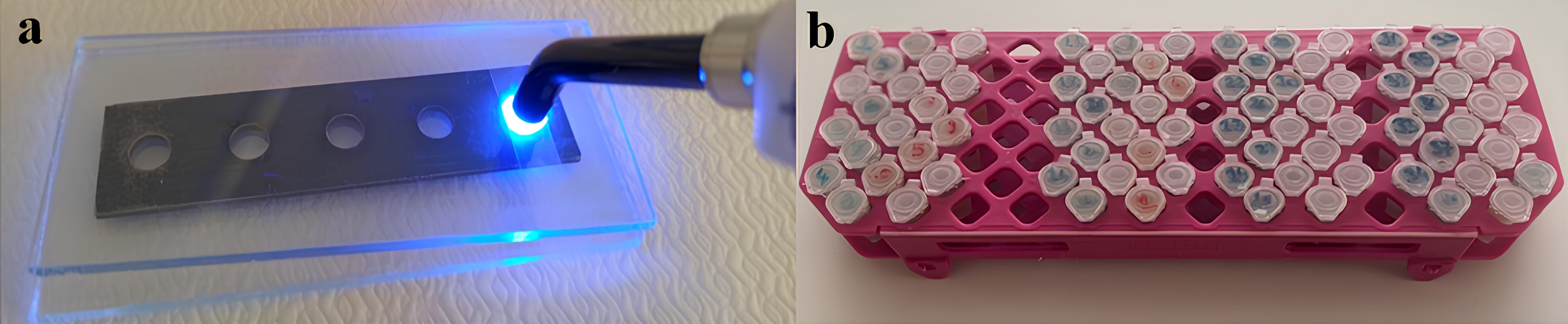Preparation, grouping, and storage of disk specimens used in the study. (a) Preparation of the disks used in the study, (b) separation
and storage of the disks according to the mouthwash groups used.