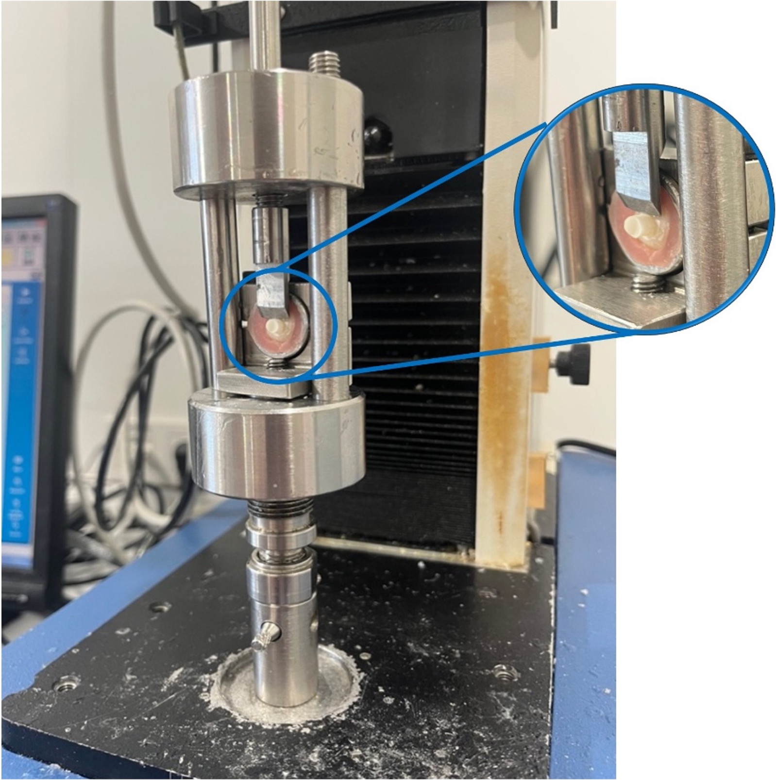 Shear bond strength (SBS) test setup performed using an Instron
universal testing machine (Instron® 3345, Instron Corp., USA)
equipped with a chisel-shaped loading head aligned perpendicular to the
enamel-sealant interface.