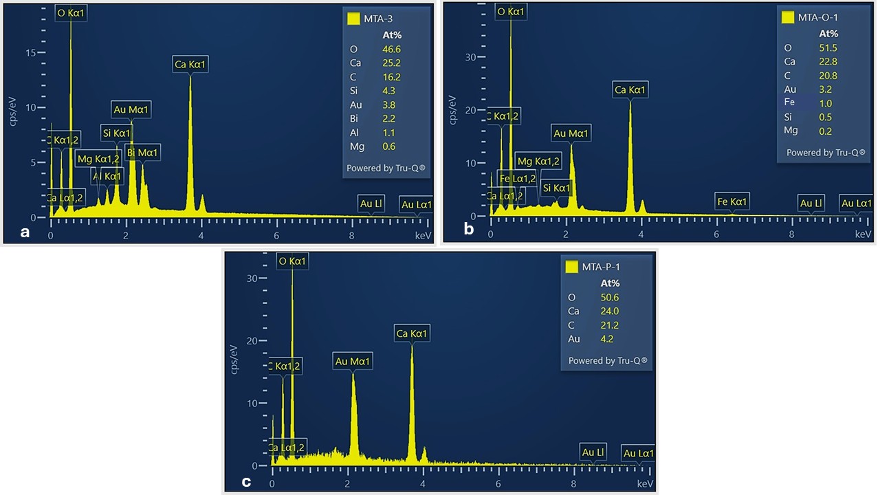Representative EDS spectra of MTA groups. EDS spectra of 
samples mixed with distilled water (control) (a), ozonated distilled water (b), 
and propolis (c). O: oxygen; Ca: calcium; C: carbon; Si: silicon; Au: gold; Bi: 
bismuth; Al: aluminum; Mg: magnesium; Fe: iron; MTA: Mineral trioxide aggregate.