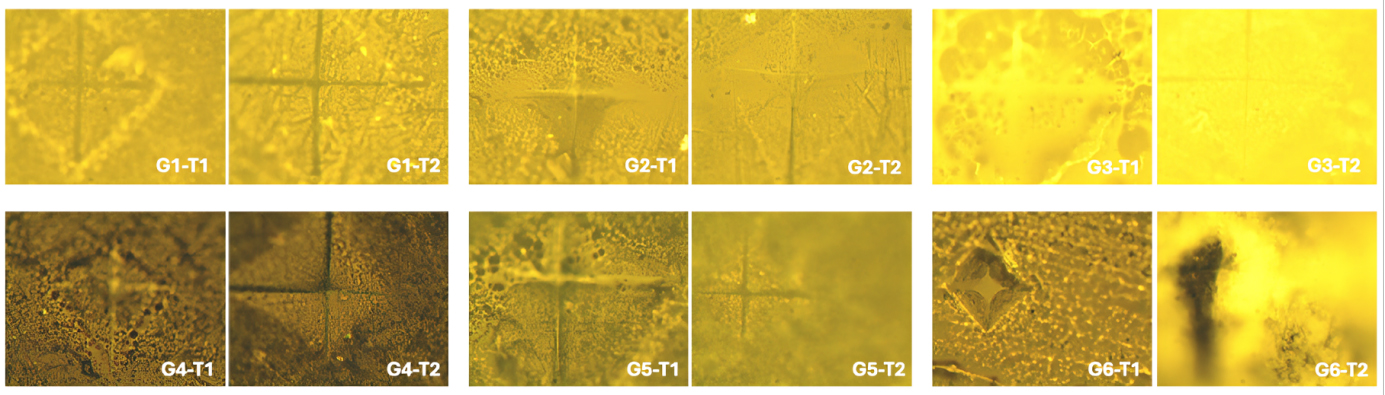 Representative surface images of fissure sealant specimens
before (T1) and after (T2) gastric acid exposure.