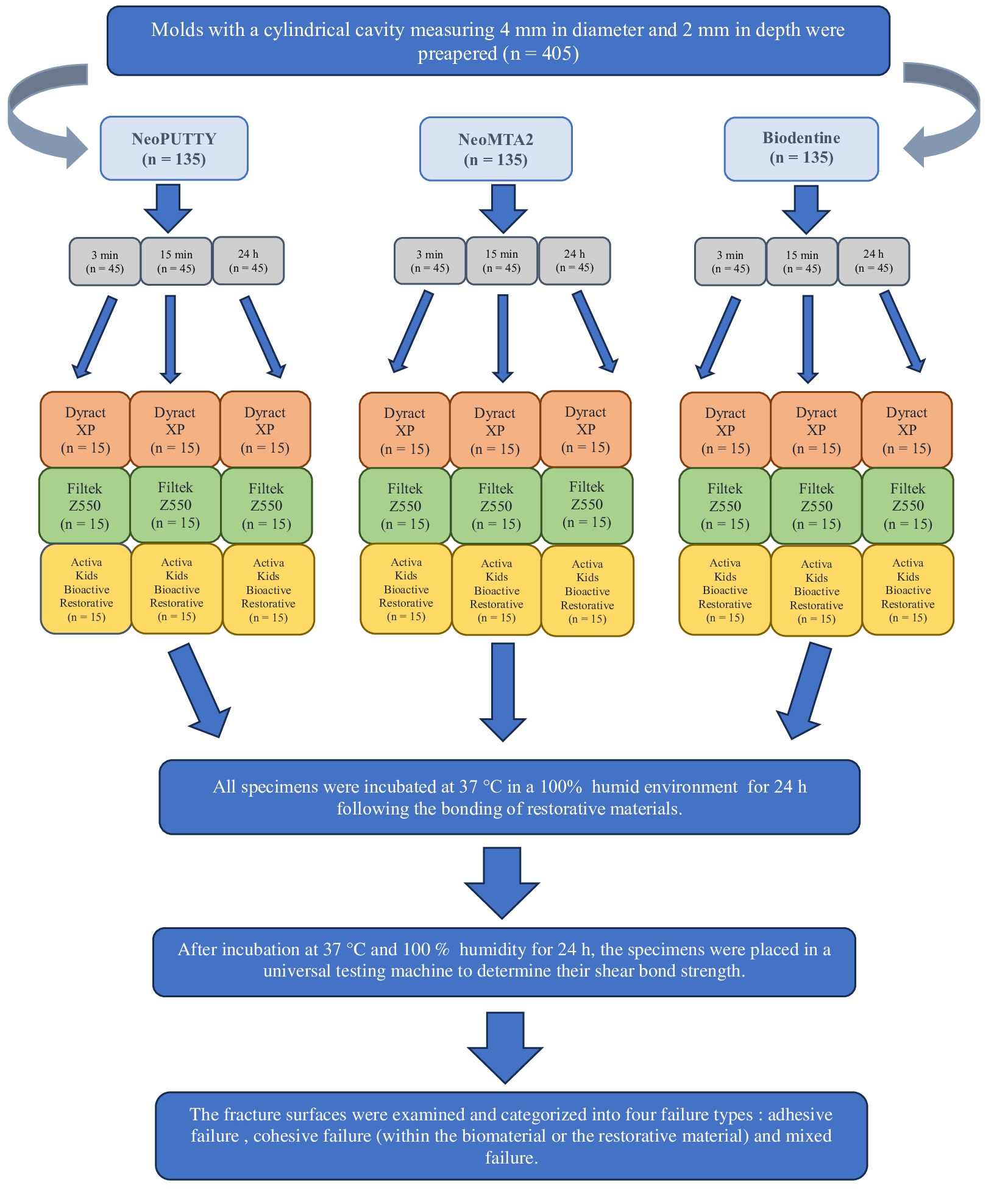 Study workflow and experimental design.