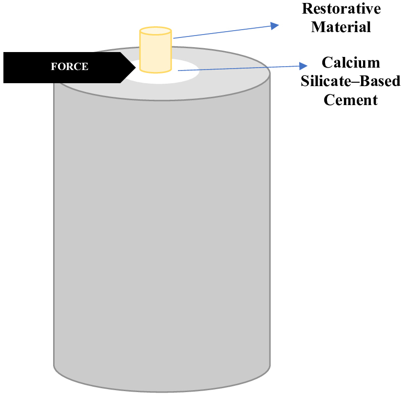 Shear bond strength test set-up.