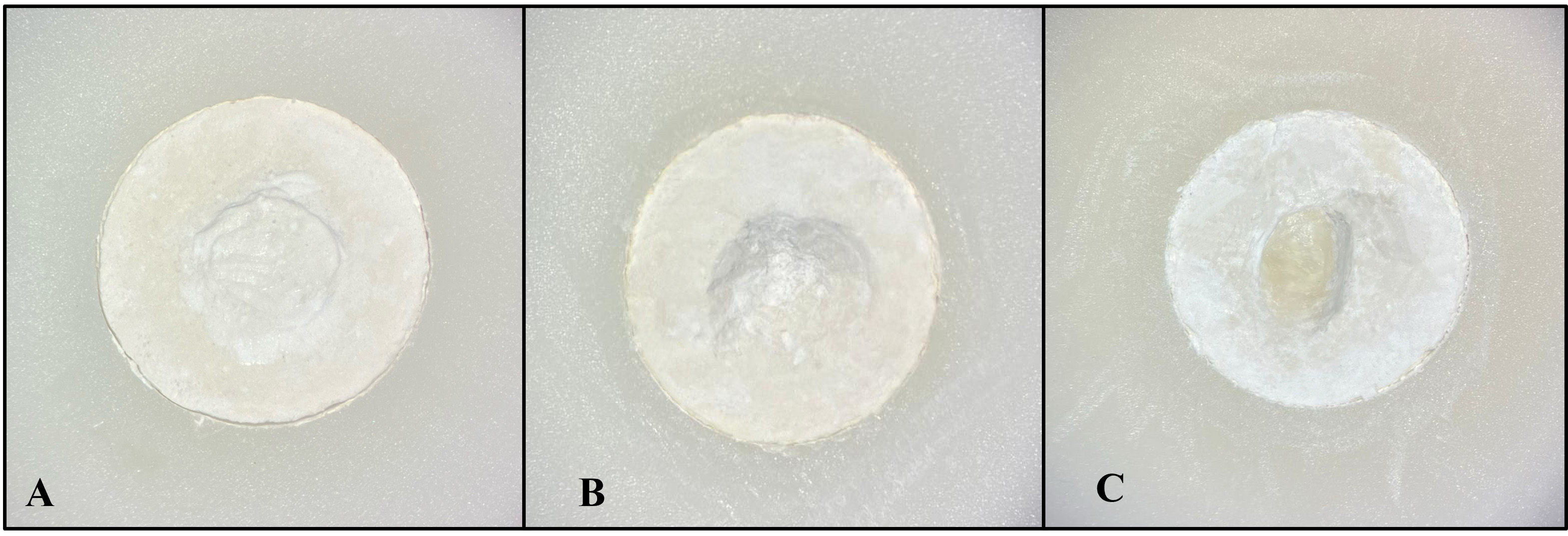 Representative operating microscopic images of failure modes
after SBS testing. (A) Adhesive failure. (B) Cohesive failure within the calcium
silicate cement. (C) Mixed failure.