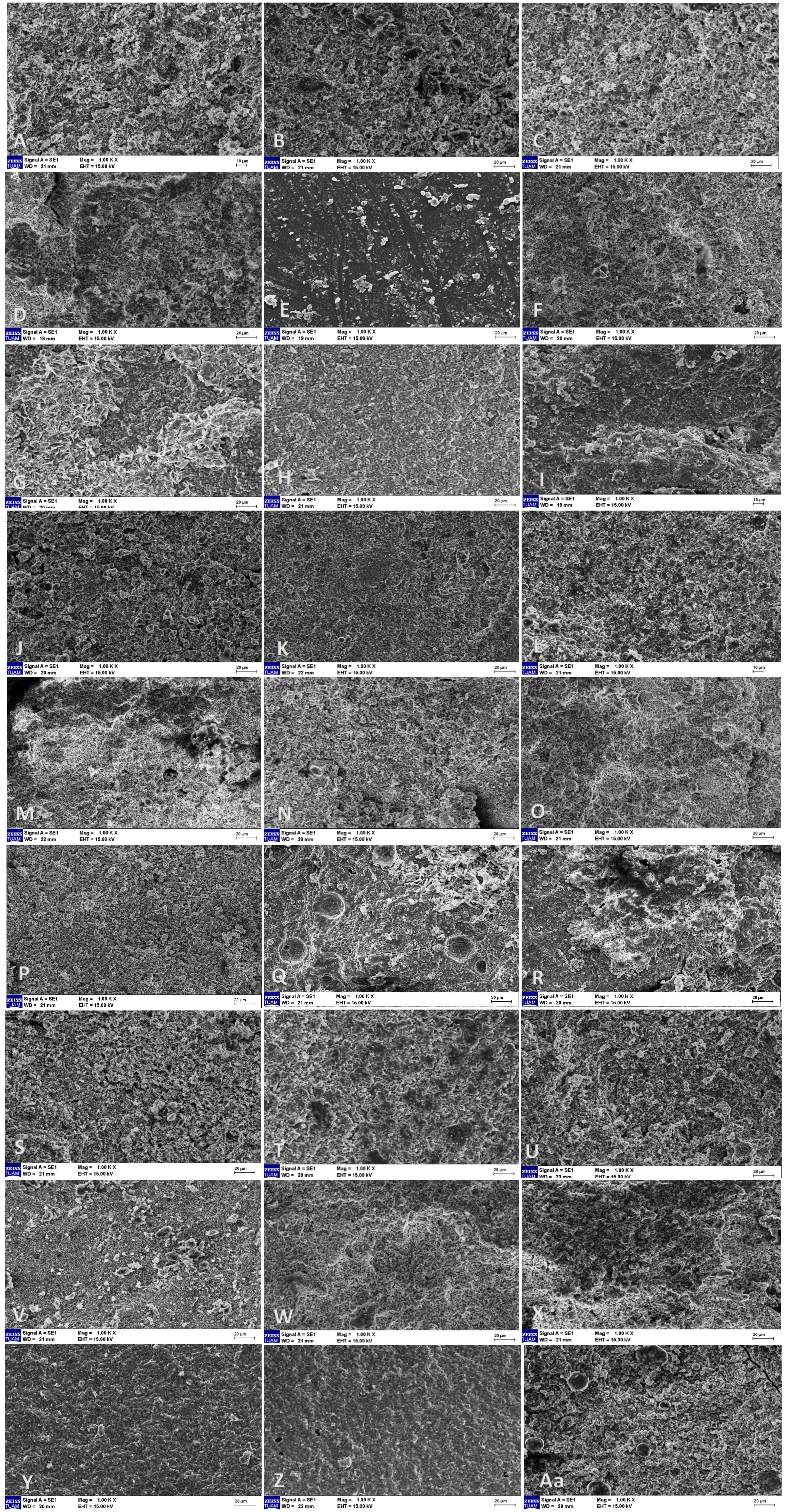 SEM images of fracture surfaces after SBS testing. (A) Dyract XP
+ NeoPUTTY, 3 min; (B) Filtek Z550 + NeoPUTTY, 3 min; (C) ACTIVA Kids BioACTIVE
Restorative + NeoPUTTY, 3 min; (D) Dyract XP + NeoMTA 2, 3 min; (E) Filtek Z550 +
NeoMTA 2, 3 min; (F) ACTIVA Kids BioACTIVE Restorative + NeoMTA 2, 3 min; (G)
Dyract XP + Biodentine, 3 min; (H) Filtek Z550 + Biodentine, 3 min; (I) ACTIVA
Kids BioACTIVE Restorative + Biodentine, 3 min; (J) Dyract XP + NeoPUTTY, 15 min;
(K) Filtek Z550 + NeoPUTTY, 15 min; (L) ACTIVA Kids BioACTIVE Restorative +
NeoPUTTY, 15 min; (M) Dyract XP + NeoMTA 2, 15 min; (N) Filtek Z550 + NeoMTA 2,
15 min; (O) ACTIVA Kids BioACTIVE Restorative + NeoMTA 2, 15 min; (P) Dyract XP +
Biodentine, 15 min; (Q) Filtek Z550 + Biodentine, 15 min; (R) ACTIVA Kids
BioACTIVE Restorative + Biodentine, 15 min; (S) Dyract XP + NeoPUTTY, 24 h; (T)
Filtek Z550 + NeoPUTTY, 24 h; (U) ACTIVA Kids BioACTIVE Restorative + NeoPUTTY,
24 h; (V) Dyract XP + NeoMTA 2, 24 h; (W) Filtek Z550 + NeoMTA 2, 24 h; (X)
ACTIVA Kids BioACTIVE Restorative + NeoMTA 2, 24 h; (Y) Dyract XP + Biodentine,
24 h; (Z) Filtek Z550 + Biodentine, 24 h; (Aa) ACTIVA Kids BioACTIVE Restorative
+ Biodentine, 24 h.