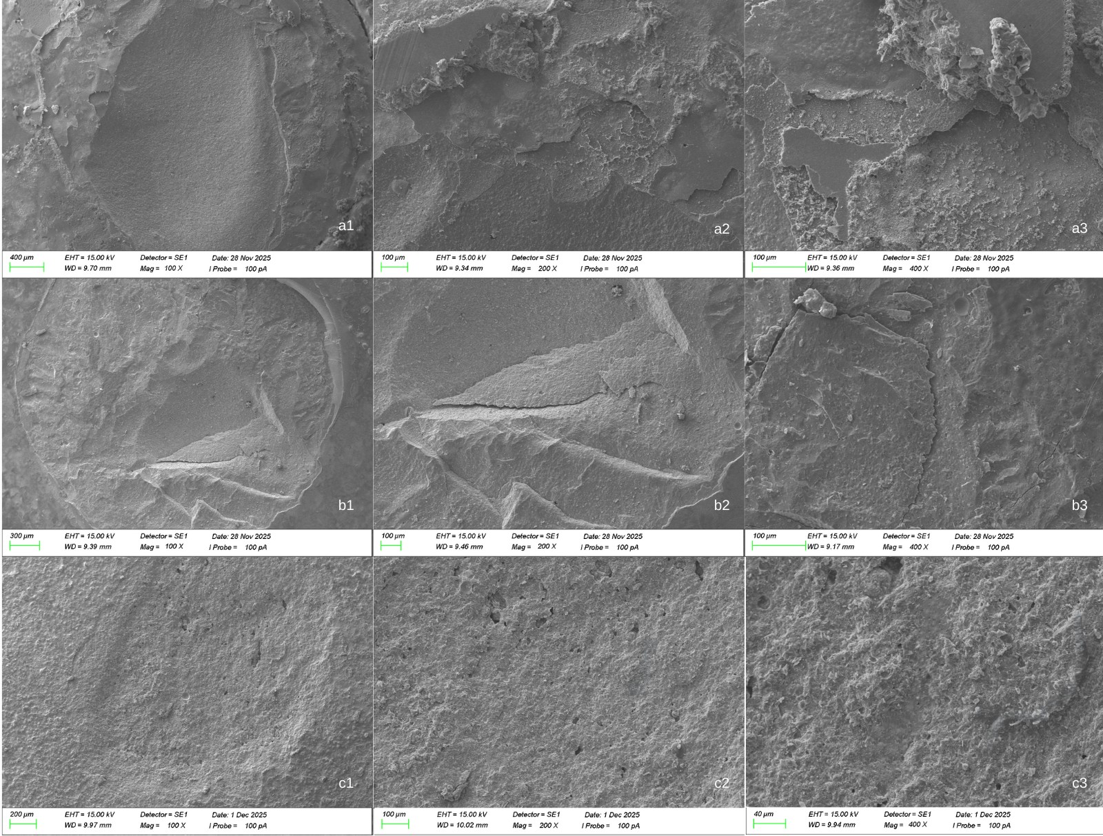 SEM images of the fracture modes. Images indicated with the
letter “a” represent mix fracture between Biodentine and Cention N. a1
indicates 100× magnification, a2 indicates 200× magnification,
a3 indicates 400× magnification. Images indicated with the letter “b”
represent cohesive fracture between TheraCal PT and composite. b1 indicates
100× magnification, b2 indicates 200× magnification, b3
indicates 400× magnification. Images indicated with the letter “c”
represent adhesive fracture between MTA and Stela Automix. c1 indicates
100× magnification, c2 indicates 200× magnification, c3
indicates 400× magnification. EHT: Electron High Tension; WD: Working
Distance; SE1: Secondary Electron Detector 1; Mag: Magnification.