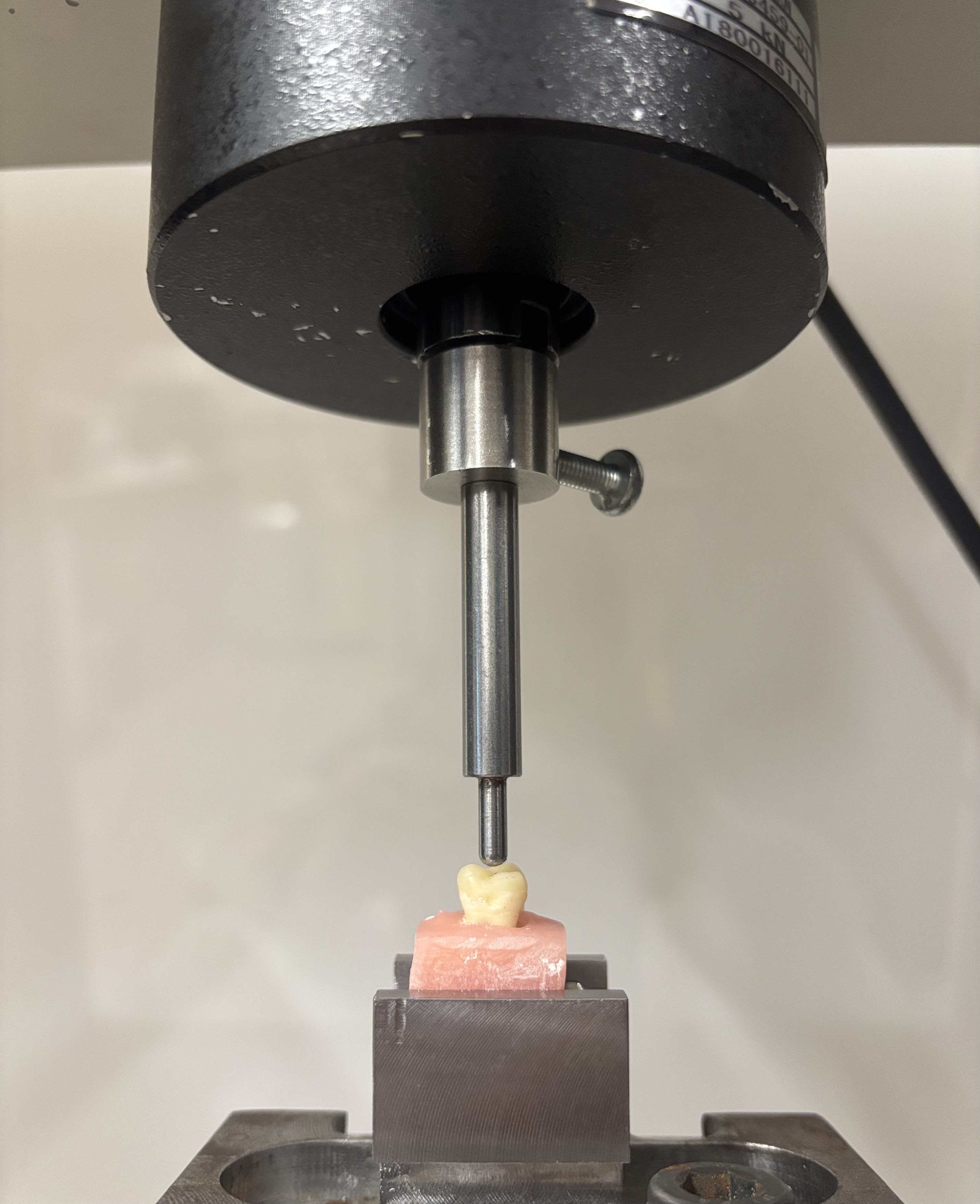 Fracture resistance testing setup using a universal
testing machine.